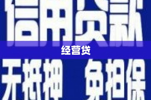 龙城经营贷