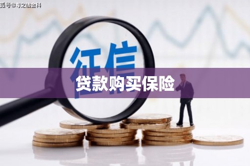 龙城贷款购买保险
