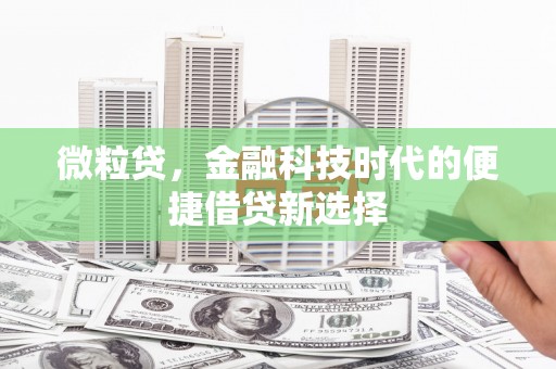 龙城微粒贷，金融科技时代的便捷借贷新选择