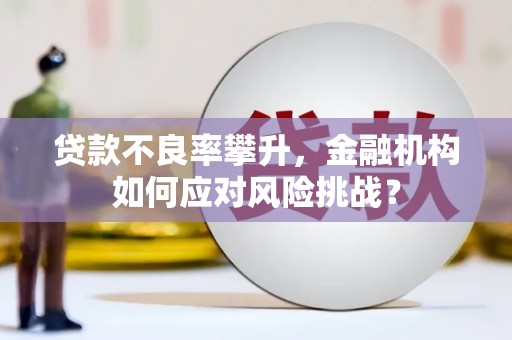 龙城贷款不良率攀升，金融机构如何应对风险挑战？