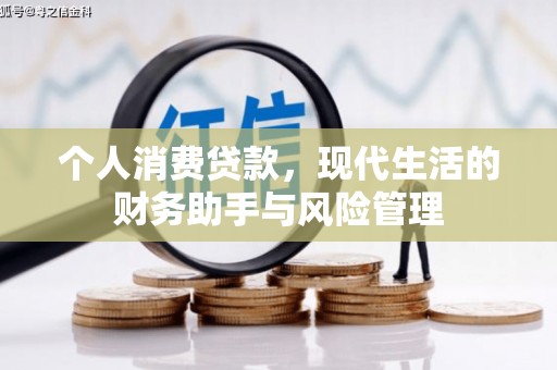 龙城个人消费贷款，现代生活的财务助手与风险管理