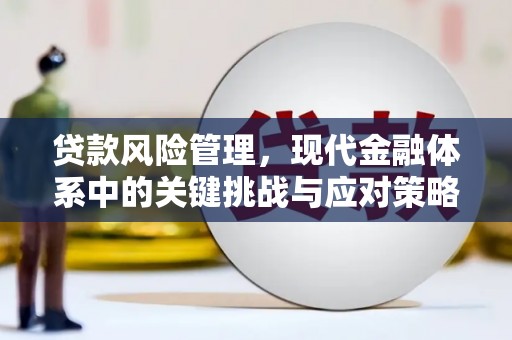 龙城贷款风险管理，现代金融体系中的关键挑战与应对策略