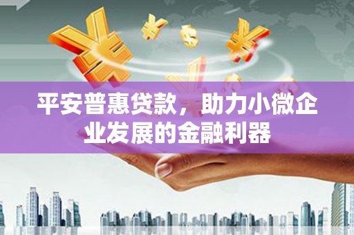 龙城平安普惠贷款，助力小微企业发展的金融利器