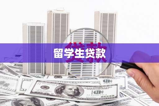 龙城留学生贷款