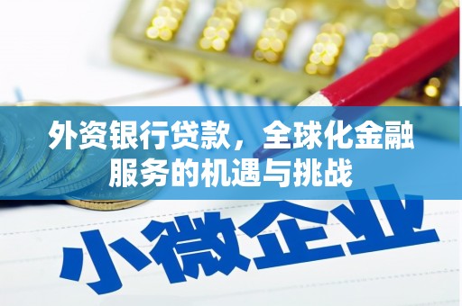 龙城外资银行贷款，全球化金融服务的机遇与挑战
