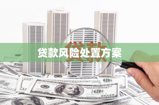 龙城贷款风险处置方案