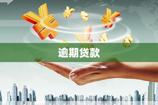 龙城逾期贷款