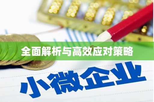 龙城全面解析与高效应对策略