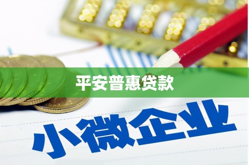 龙城平安普惠贷款